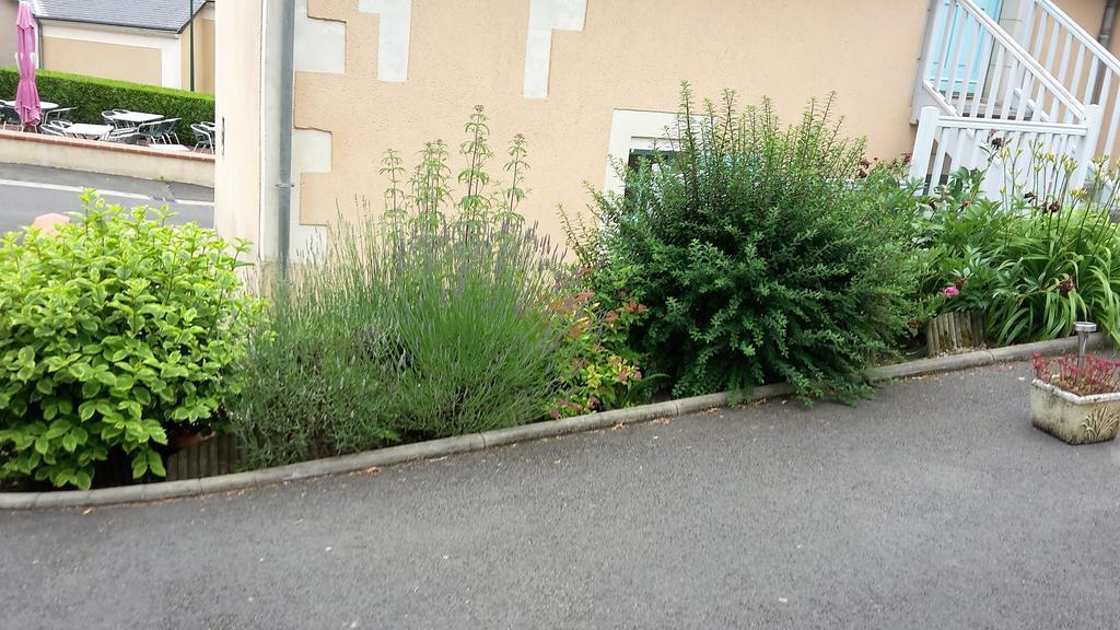 Auberge Du Cheval Blanc Beaumont-Pied-de-Boeuf (Sarthe) Exterior foto